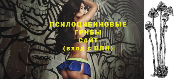 гашик Балабаново