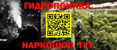 амф Можга