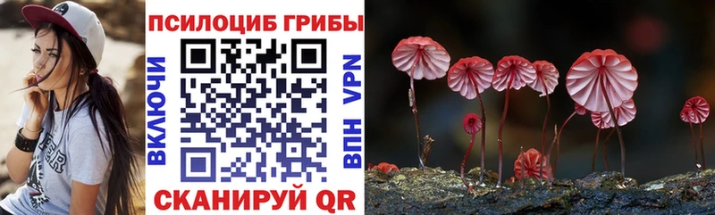 Псилоцибиновые грибы мухоморы Белово