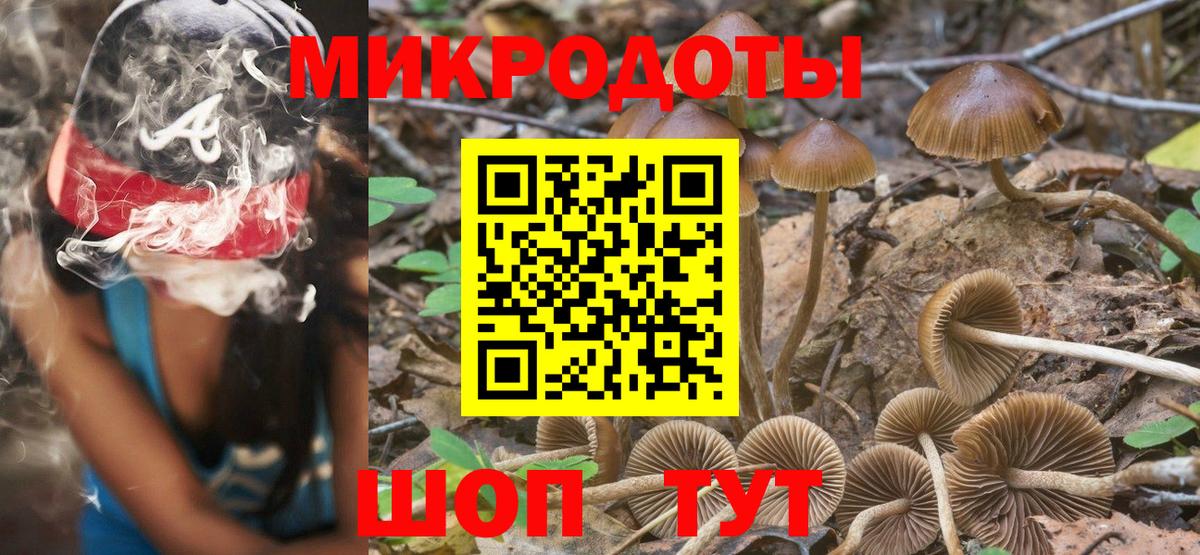 Псилоцибиновые грибы Magic Shrooms Белово